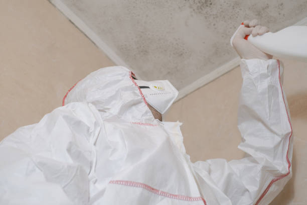  Lead, SD Mold Removal Pros